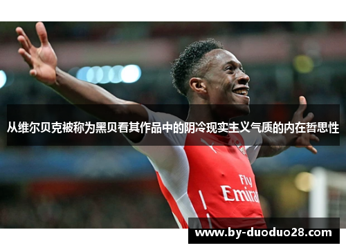 从维尔贝克被称为黑贝看其作品中的阴冷现实主义气质的内在哲思性