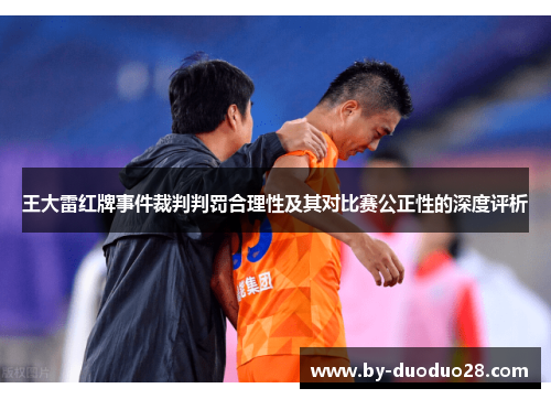 王大雷红牌事件裁判判罚合理性及其对比赛公正性的深度评析