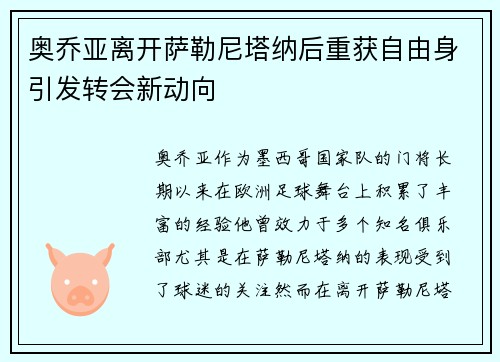奥乔亚离开萨勒尼塔纳后重获自由身引发转会新动向
