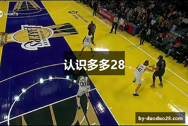 认识多多28